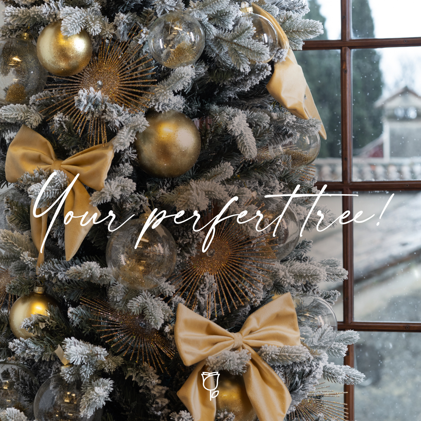 Che albero di Natale fa per te?