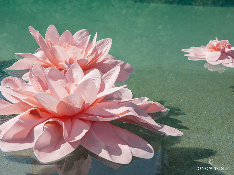 Un giardino d’ acqua