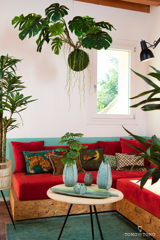 Monstera