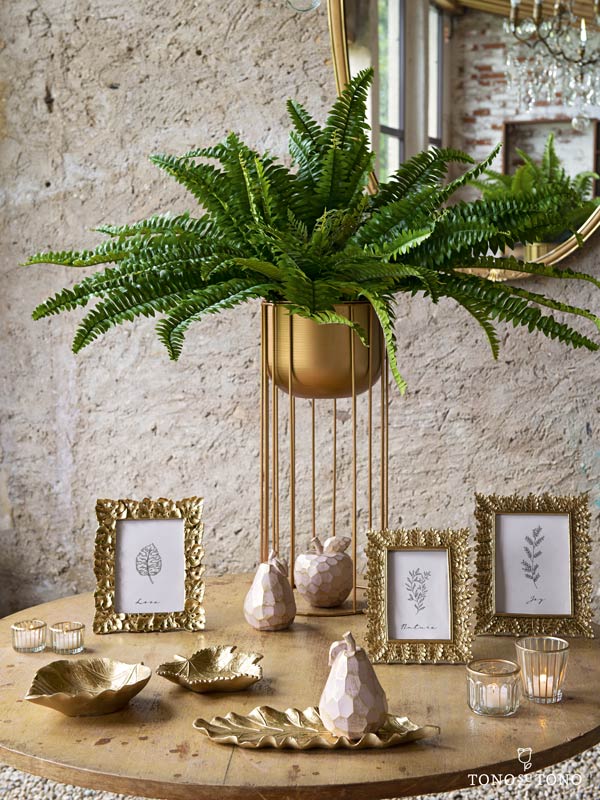 Tropical home decorations