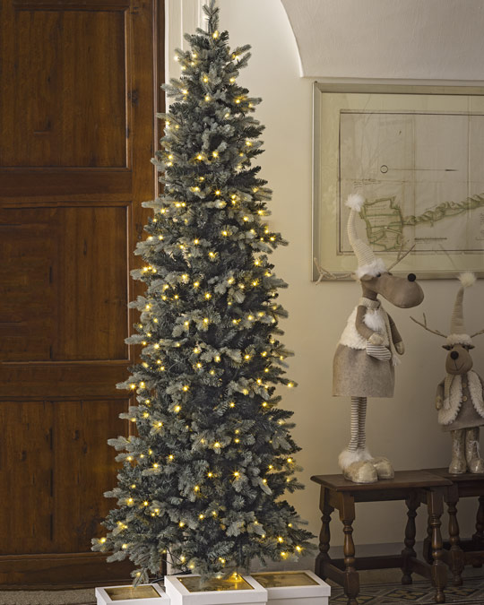 Alberi Slim - Asiago e Merano