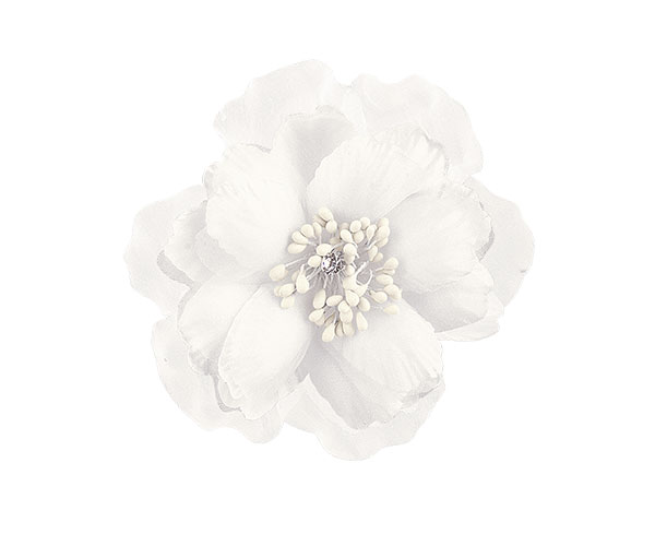 FIORE BIANCO CON STRASS+MOLLETTA