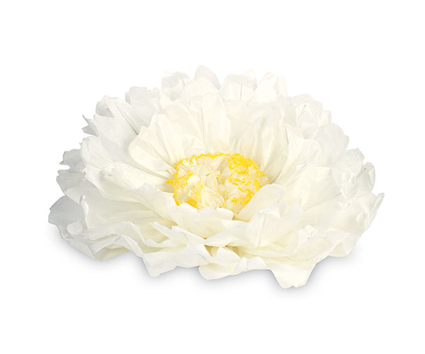 MARGHERITA CARTA BIANCA DA APP. ø 300 MM