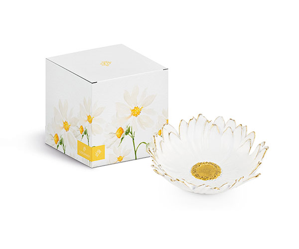 MARGHERITA CIOTOLA C/SCATOLA ø 120XH.35 MM