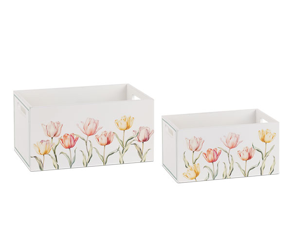 SET 2 CONTENIT. SPRING TULIPS 200X125X100 240X155X120MM