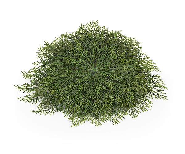 TAPPETINO FOGLIE DI CEDRO D.430 MM