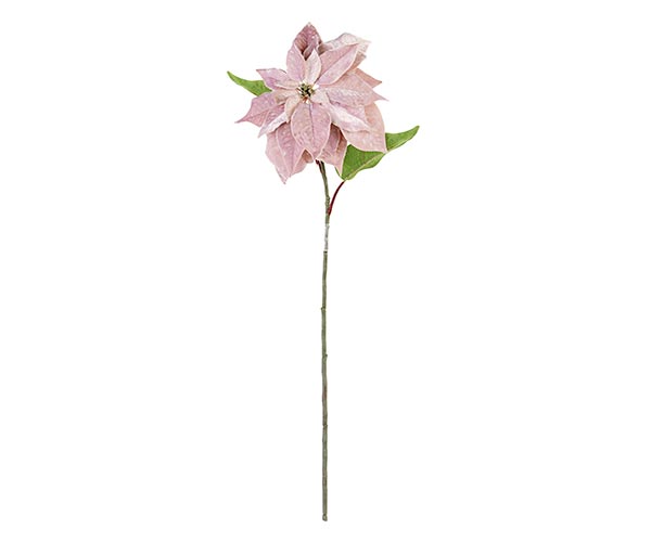 STELLA DI NATALE VELLUTO ROSA D.300XH.700 MM