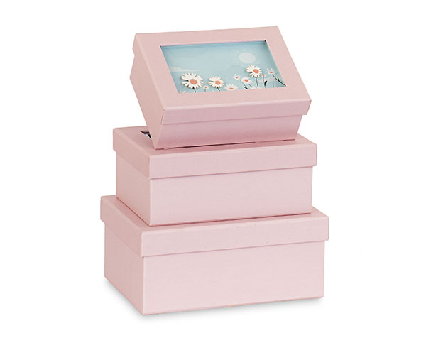 SET. 3 SC.ROSA CON MARGHERITE