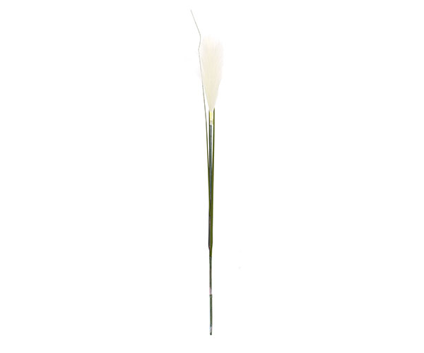 PAMPAS AVORIO CON 3 FOGLIE H.760 MM