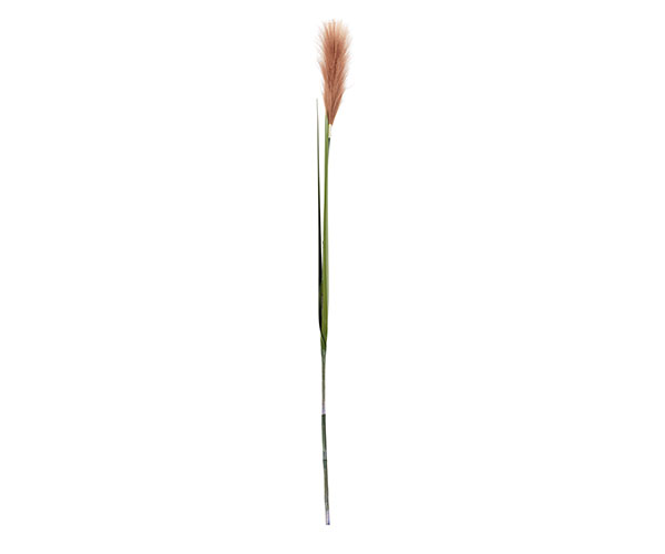 PAMPAS MARRONE CON 3 FOGLIE H.1060 MM