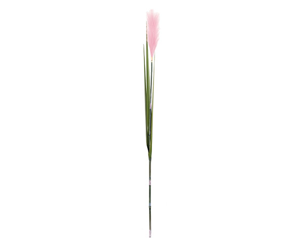 PAMPAS ROSA CON 3 FOGLIE