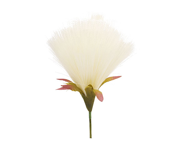 PICK DANDELION AVORIO