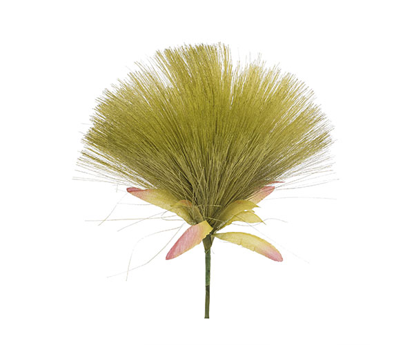 PICK DANDELION VERDE