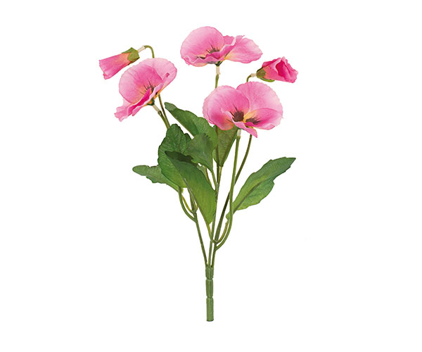 MAZZETTO PANSE ROSA