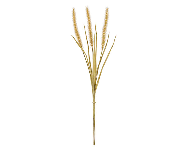 S/3 SPIGHE NATURALE H.560 MM