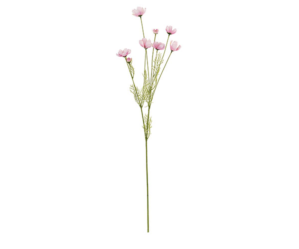 RAMO COSMOS ROSA