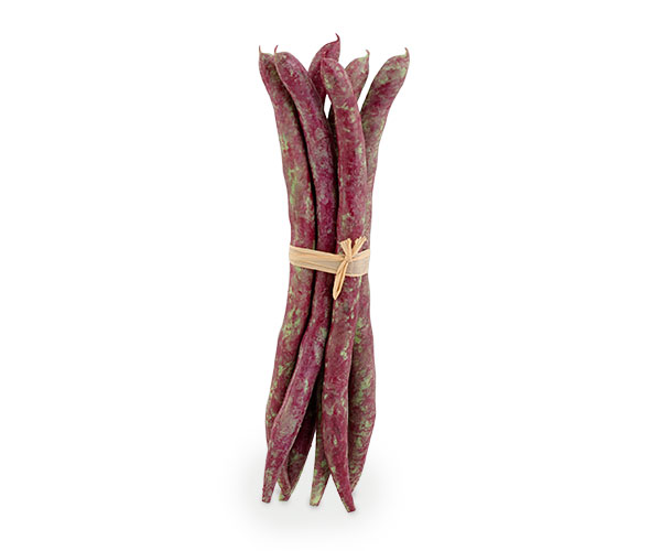 MAZZETTO 6 FAGIOLI
