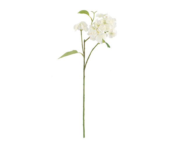 RAMO ORTENSIA BIANCA