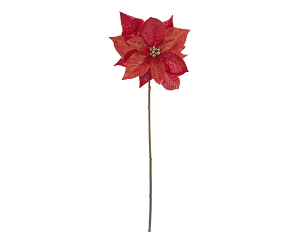STELLA DI NAT. ROSSA D.150X370 MM