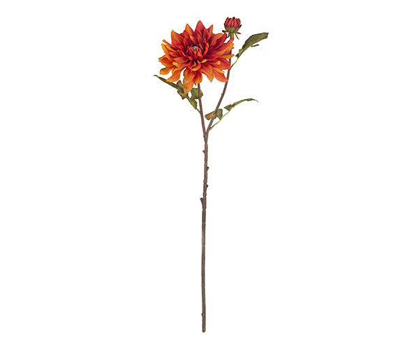 DAHLIA ARANCIONE H.750 MM