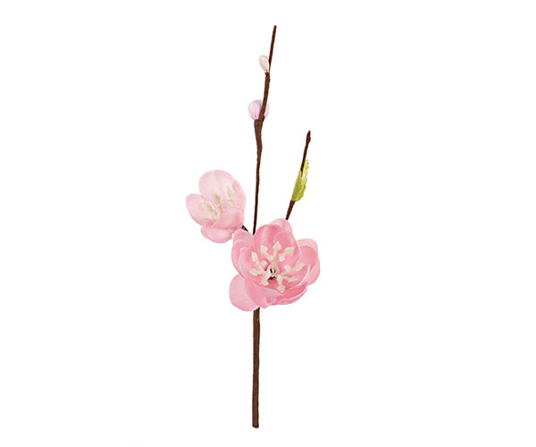 PICK 2 FIORI PESCO