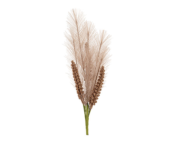 PICK SPIGHE NATURALE