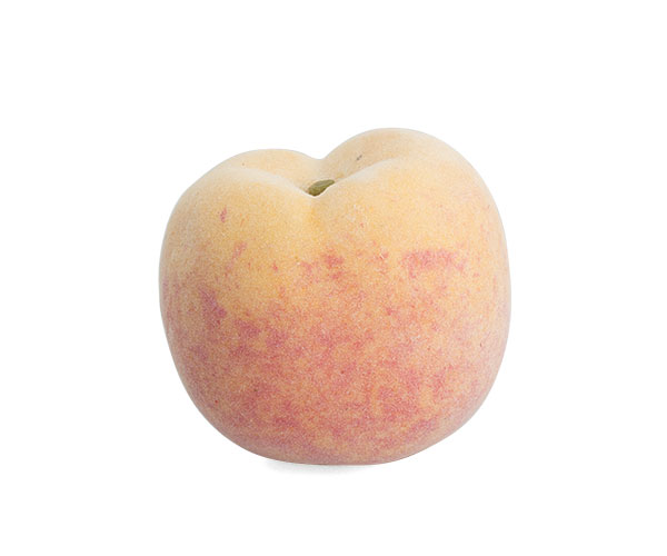 RETINA CON 6 PESCHE