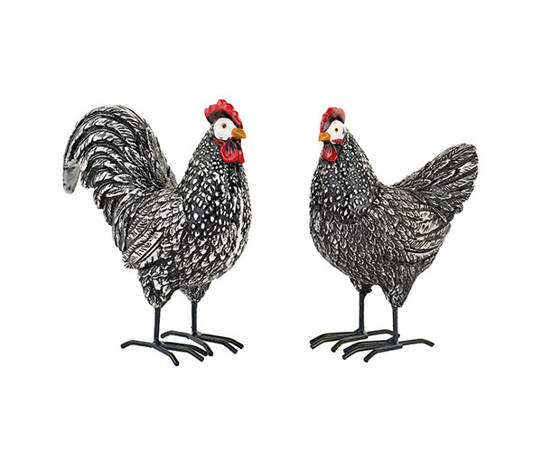 GALLINA/GALLO NERI ASS.