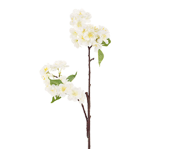 RAMO FIORI PESCO BIANCHI