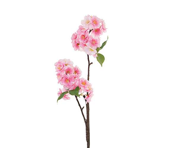 RAMO FIORI PESCO ROSA