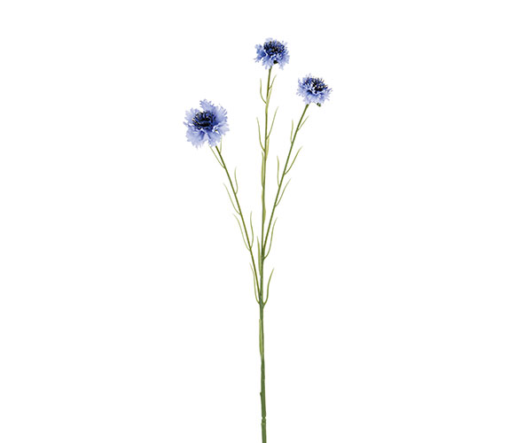 FIORDALISO AZZURRO