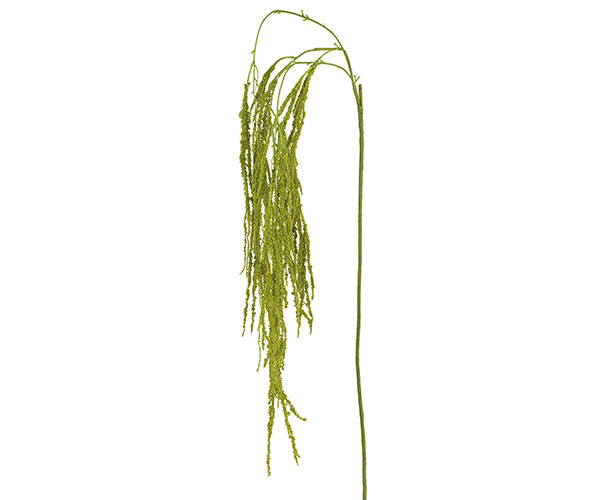 CASCATA AMARANTHUS VERDE