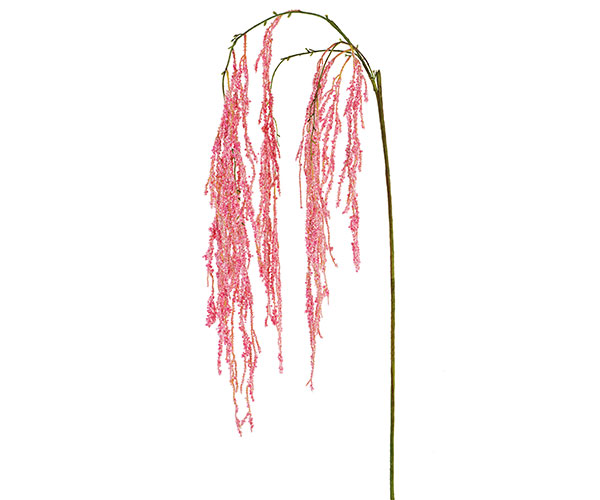 CASCATA AMARANTUS ROSA