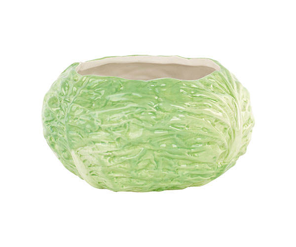 CIOTOLA FOGLIA VERDE