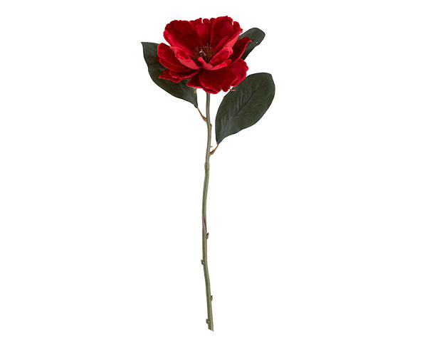 MAGNOLIA VELLUTO ROSSO 520 MM