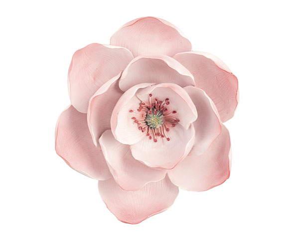 MAGNOLIA ROSA DA APPENDERE