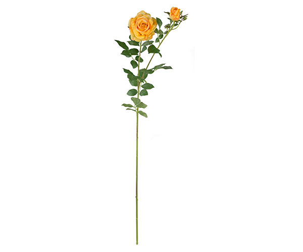 ROSA GIALLA CON BOCCIOLO