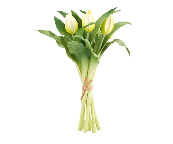 MAZZO 7 TULIPANI BIANCHI