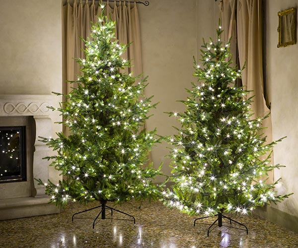 ABETE ST.MORITZ 3554 TIP/600LU H.2400/D.1650 MM