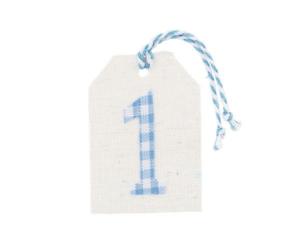 SET 10 TARGH.1 AZZURRE 45X65 MM