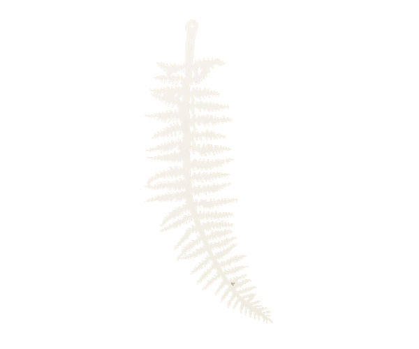 SET 12 FOGLIE FELCE CARTA BIAN 270 MM