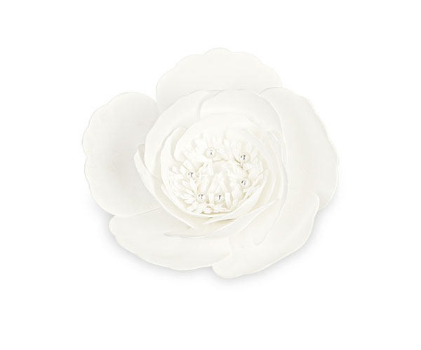 RANUNCOLO BIANCO