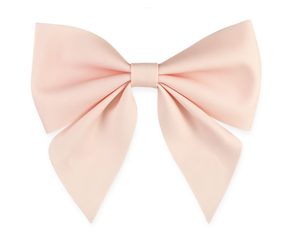 FIOCCO ROSA DA APPENDERE