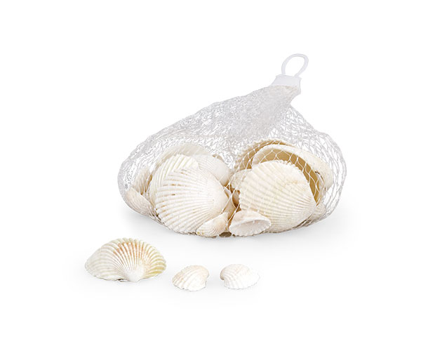 RETINA CONCHIGLIE MISTE GR 150 MM