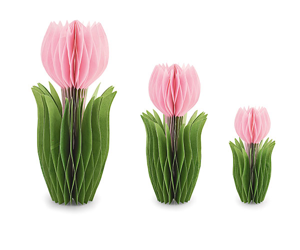 S/3 TULIPANI ROSA