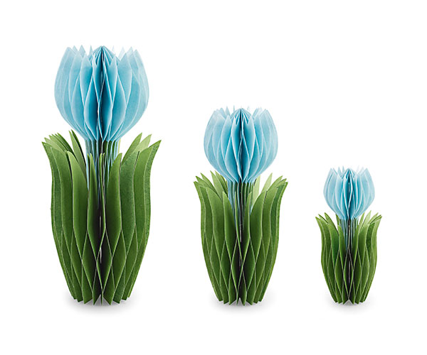 S/3 TULIPANI AZZURRI