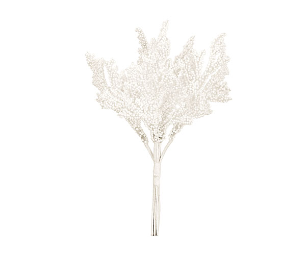 MAZZETTO 6 CORALLI BIANCHI 140 MM