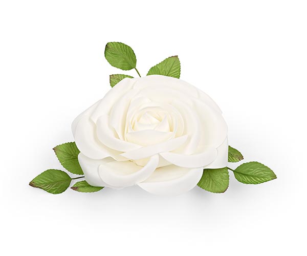 ROSA BIANCA