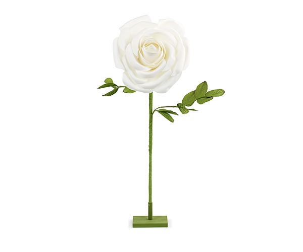 ROSA BIANCA CON STELO