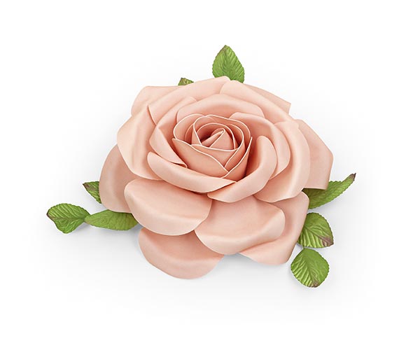 ROSA ROSA